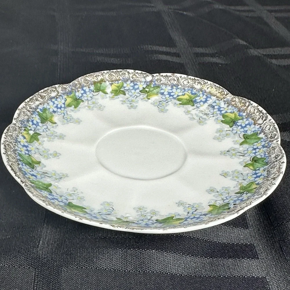 Forget-Me-Not Tea cup Saucer Translucent Fine Porcelain Gold Filigree Ivy ANTQ